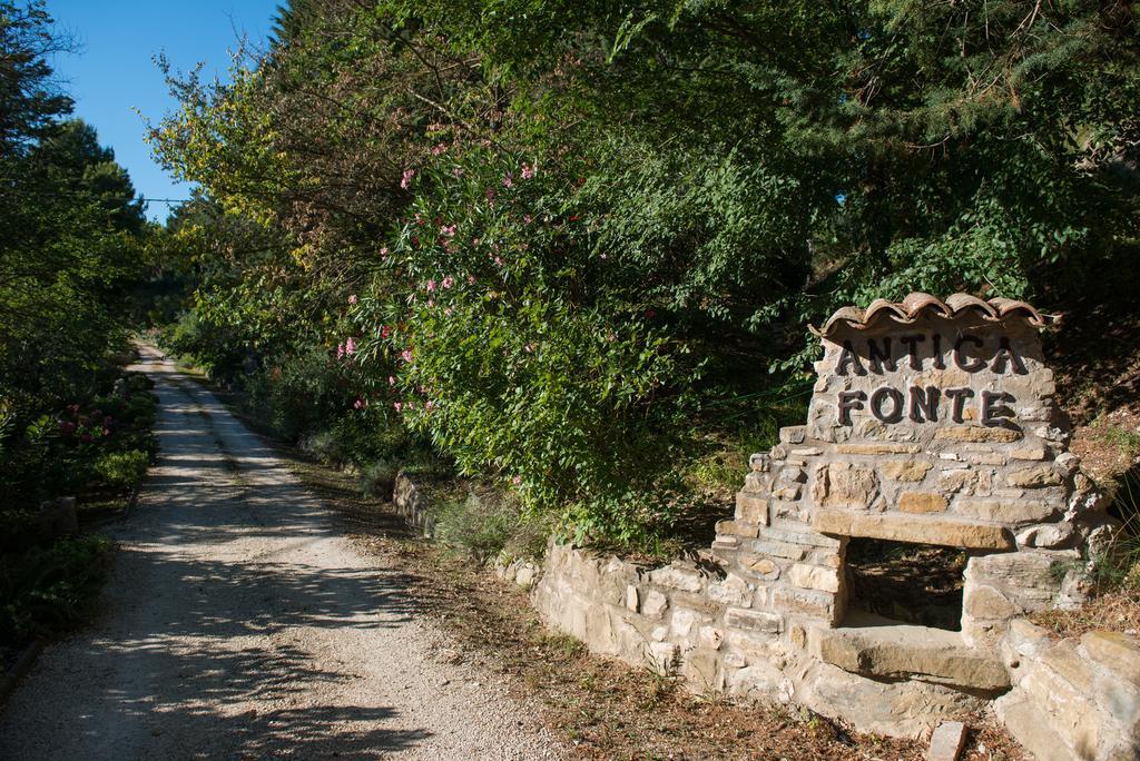 Antica Fonte Guest House Assisi Exterior photo